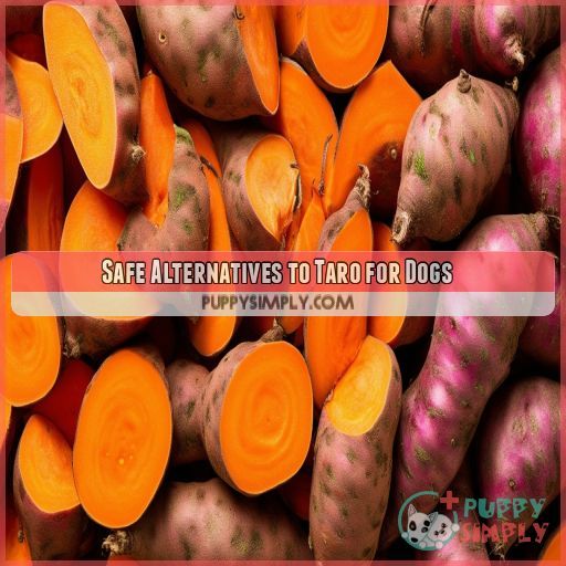 Safe Alternatives to Taro for Dogs