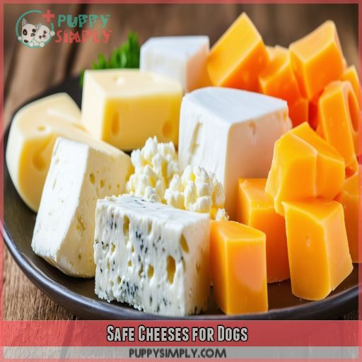 Safe Cheeses for Dogs