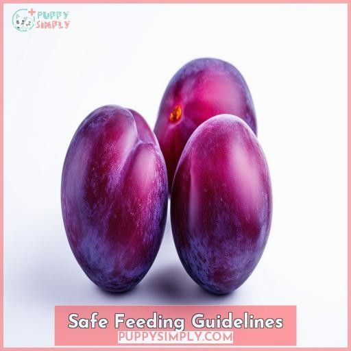 Safe Feeding Guidelines