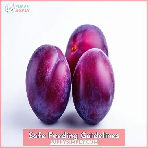 Safe Feeding Guidelines