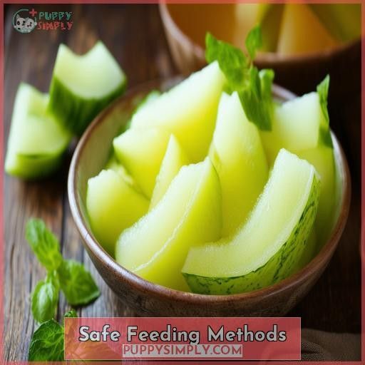 Safe Feeding Methods