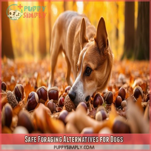 Safe Foraging Alternatives for Dogs