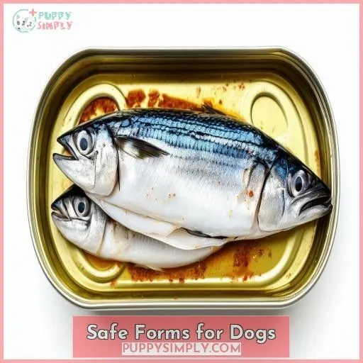 Safe Forms for Dogs