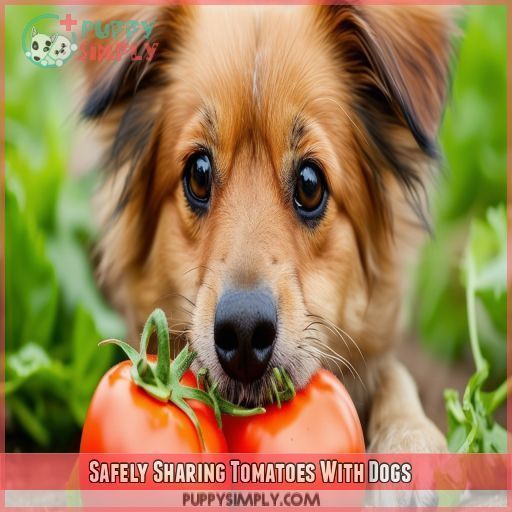 Safely Sharing Tomatoes With Dogs