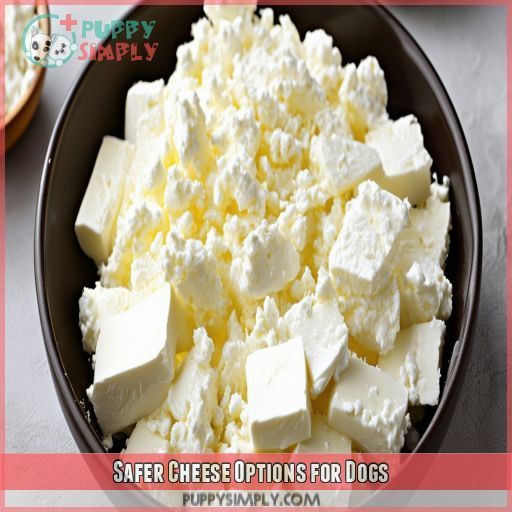 Safer Cheese Options for Dogs