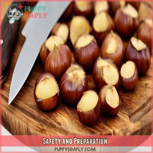Safety and Preparation