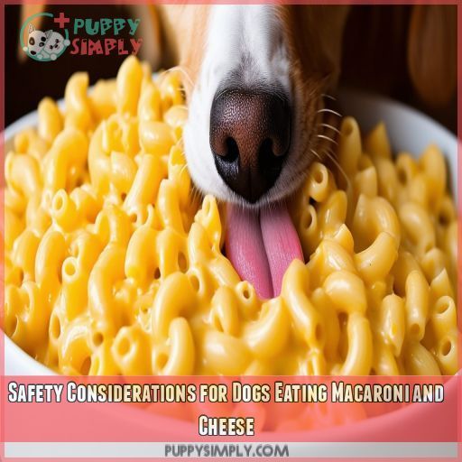 Safety Considerations for Dogs Eating Macaroni and Cheese