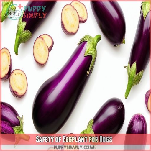 Safety of Eggplant for Dogs