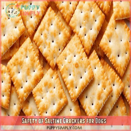 Safety of Saltine Crackers for Dogs