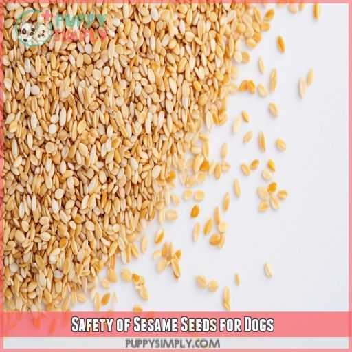 Safety of Sesame Seeds for Dogs
