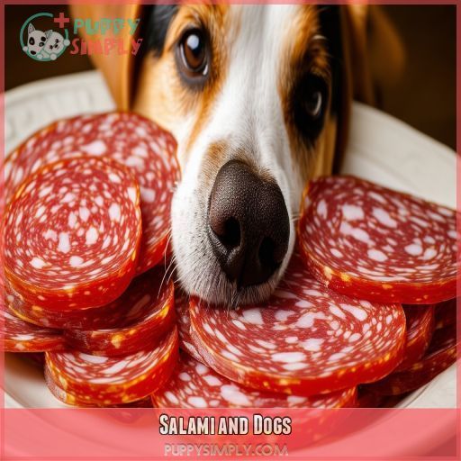 Salami and Dogs