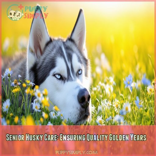 Senior Husky Care: Ensuring Quality Golden Years