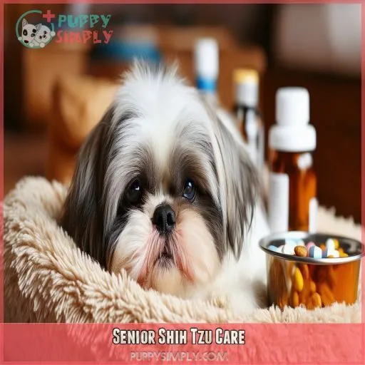 Senior Shih Tzu Care