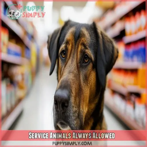 Service Animals Always Allowed