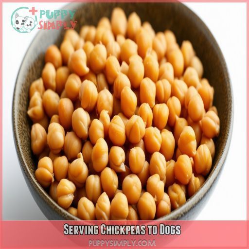 Serving Chickpeas to Dogs
