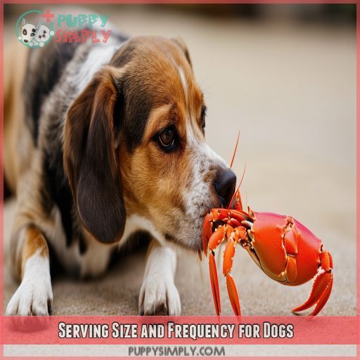 Serving Size and Frequency for Dogs