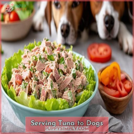 Serving Tuna to Dogs