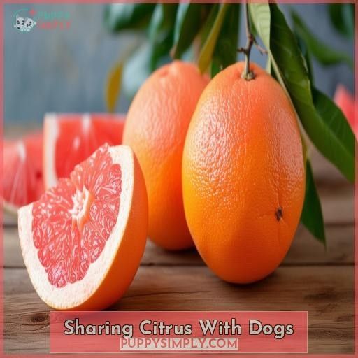 Sharing Citrus With Dogs