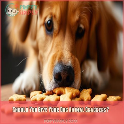 Should You Give Your Dog Animal Crackers