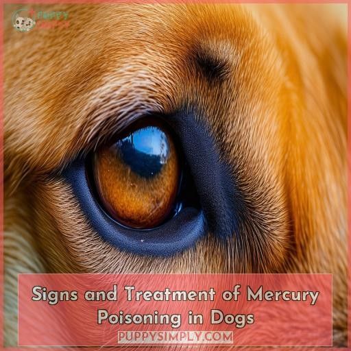 Signs and Treatment of Mercury Poisoning in Dogs