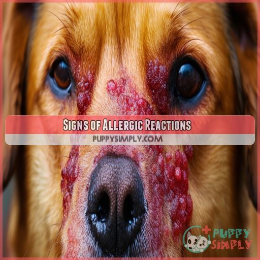 Signs of Allergic Reactions