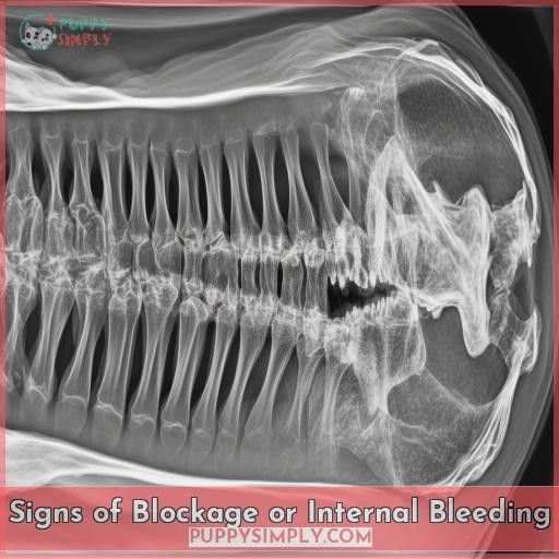 Signs of Blockage or Internal Bleeding