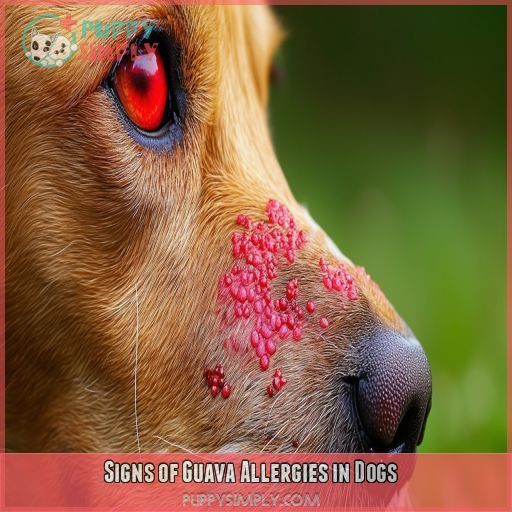 Signs of Guava Allergies in Dogs