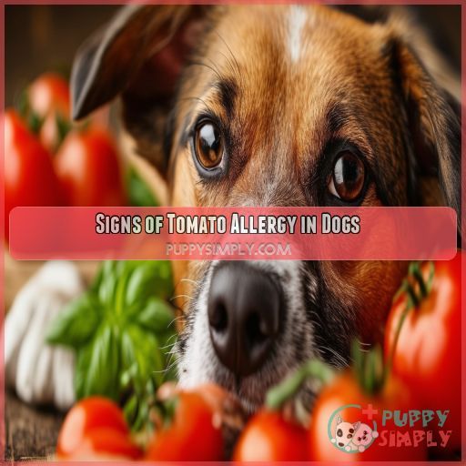 Signs of Tomato Allergy in Dogs