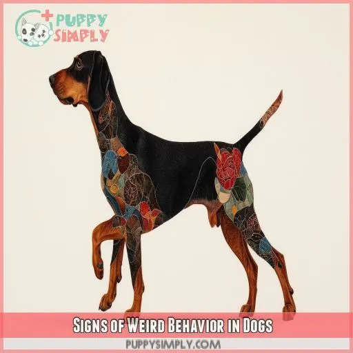 Signs of Weird Behavior in Dogs