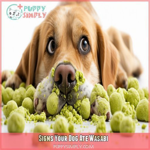 Signs Your Dog Ate Wasabi