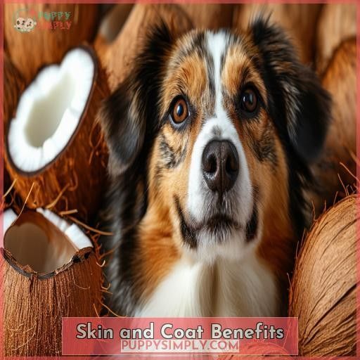 Skin and Coat Benefits