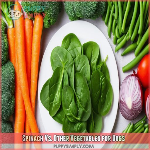 Spinach Vs. Other Vegetables for Dogs