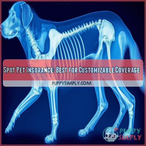 Spot Pet Insurance: Best for Customizable Coverage