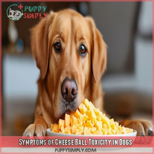 Symptoms of Cheese Ball Toxicity in Dogs
