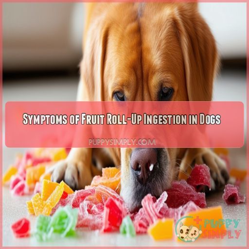 Symptoms of Fruit Roll-Up Ingestion in Dogs