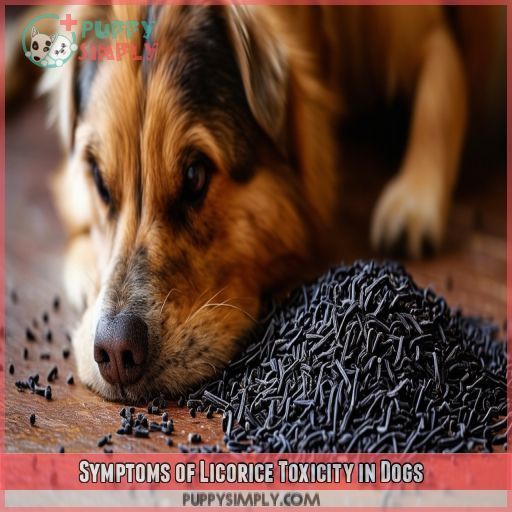 Symptoms of Licorice Toxicity in Dogs