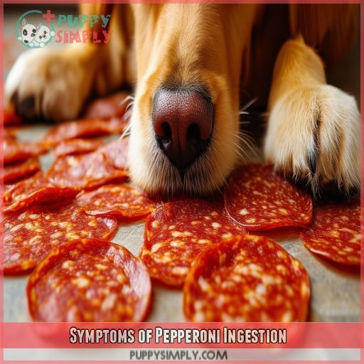 Symptoms of Pepperoni Ingestion