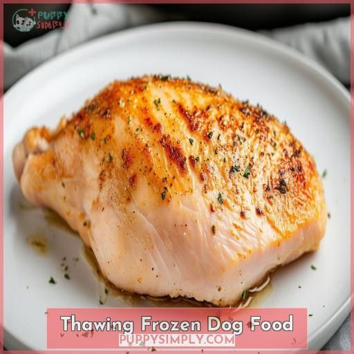 Thawing Frozen Dog Food