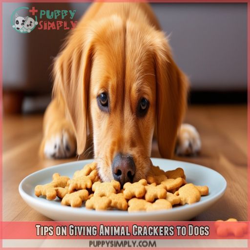 Tips on Giving Animal Crackers to Dogs
