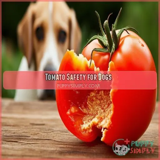 Tomato Safety for Dogs