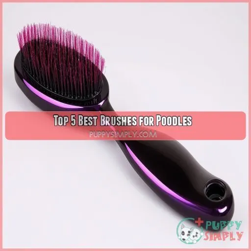 Top 5 Best Brushes for Poodles