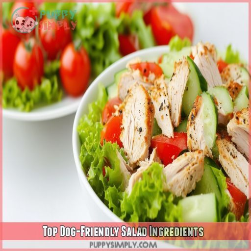 Top Dog-Friendly Salad Ingredients