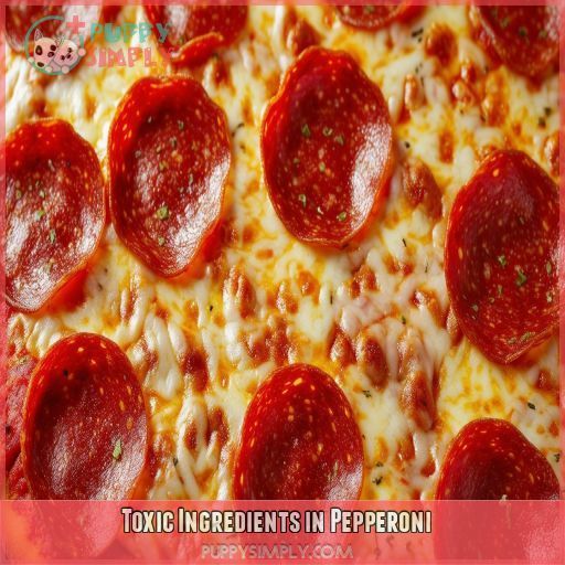 Toxic Ingredients in Pepperoni