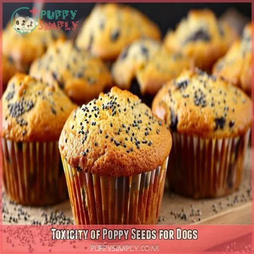 Toxicity of Poppy Seeds for Dogs