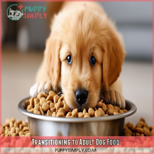 Transitioning to Adult Dog Food