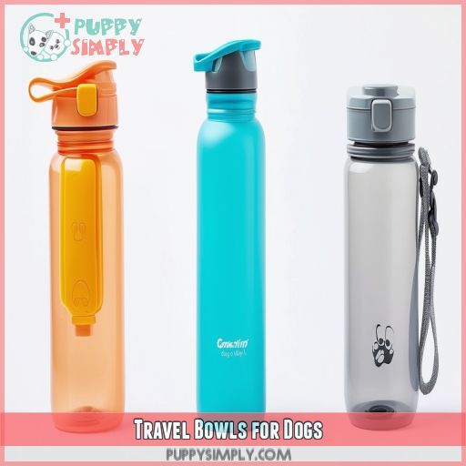 Travel Bowls for Dogs