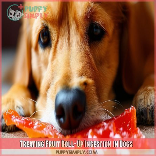 Treating Fruit Roll-Up Ingestion in Dogs
