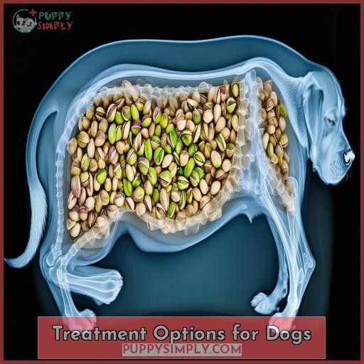 Treatment Options for Dogs