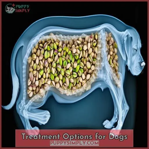 Treatment Options for Dogs