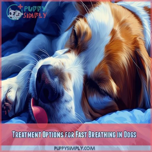 Treatment Options for Fast Breathing in Dogs